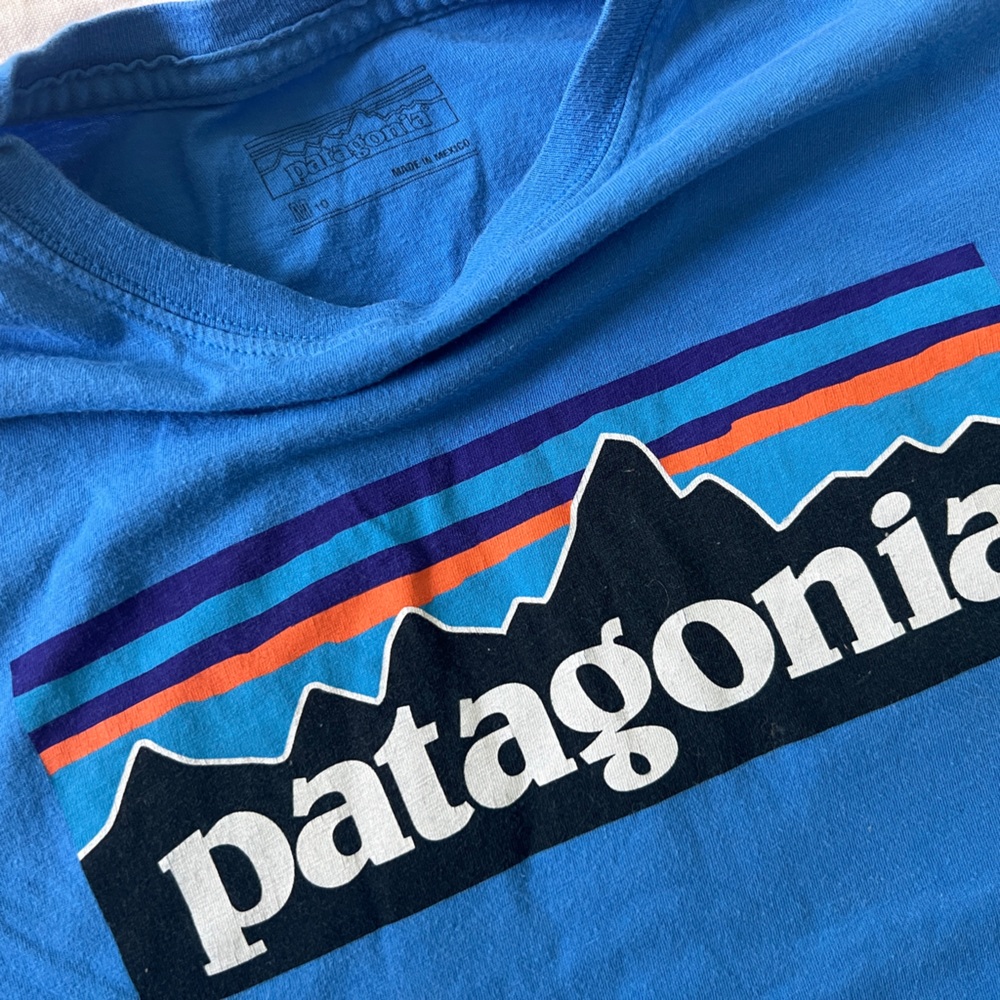 Patagonia Blue Graphic Tee with Black, White, Purple, Teal, Orange Stripes